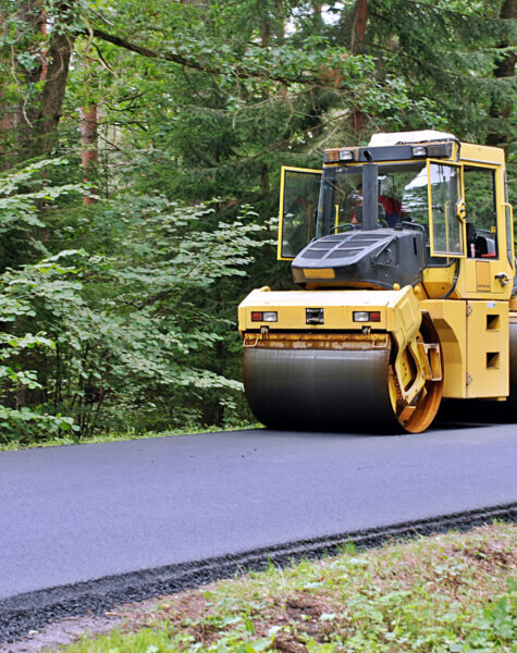road roller in the forest